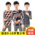 Teen Qiuyi Qiuku Suit Set Big Boy Thin Cotton Boy Học sinh trung học Học sinh Đồ lót ấm áp Cậu bé