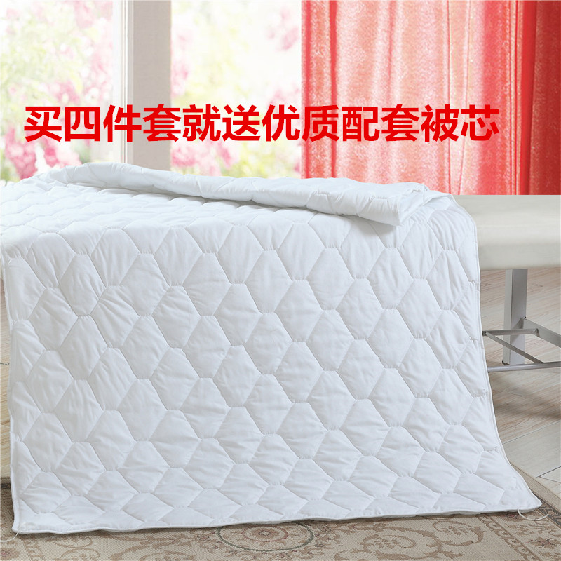 Vẻ đẹp mới trải giường bốn mảnh gói chính tả đôi ab phiên bản ấm pha lê nhung massage salon giường sản phẩm có thể được tùy chỉnh logo