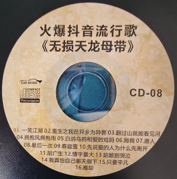 火爆抖音流行歌《无损天龙母带》CD8