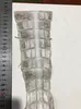 Товары от 西牛记