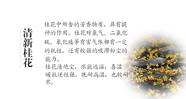 Osmanthus tinh dầu hương thơm lâu dài phòng ngủ hương liệu tinh chế không khí khử mùi nhà xe ô tô refill - Sản phẩm hương liệu cây trầm hương tự nhiên