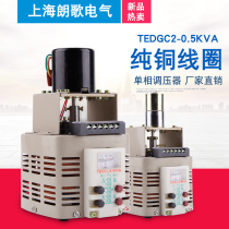 Electric AC voltage regulator TEDGC2-500VA contact 220V single-phase 0-250V adjustable voltage transformer