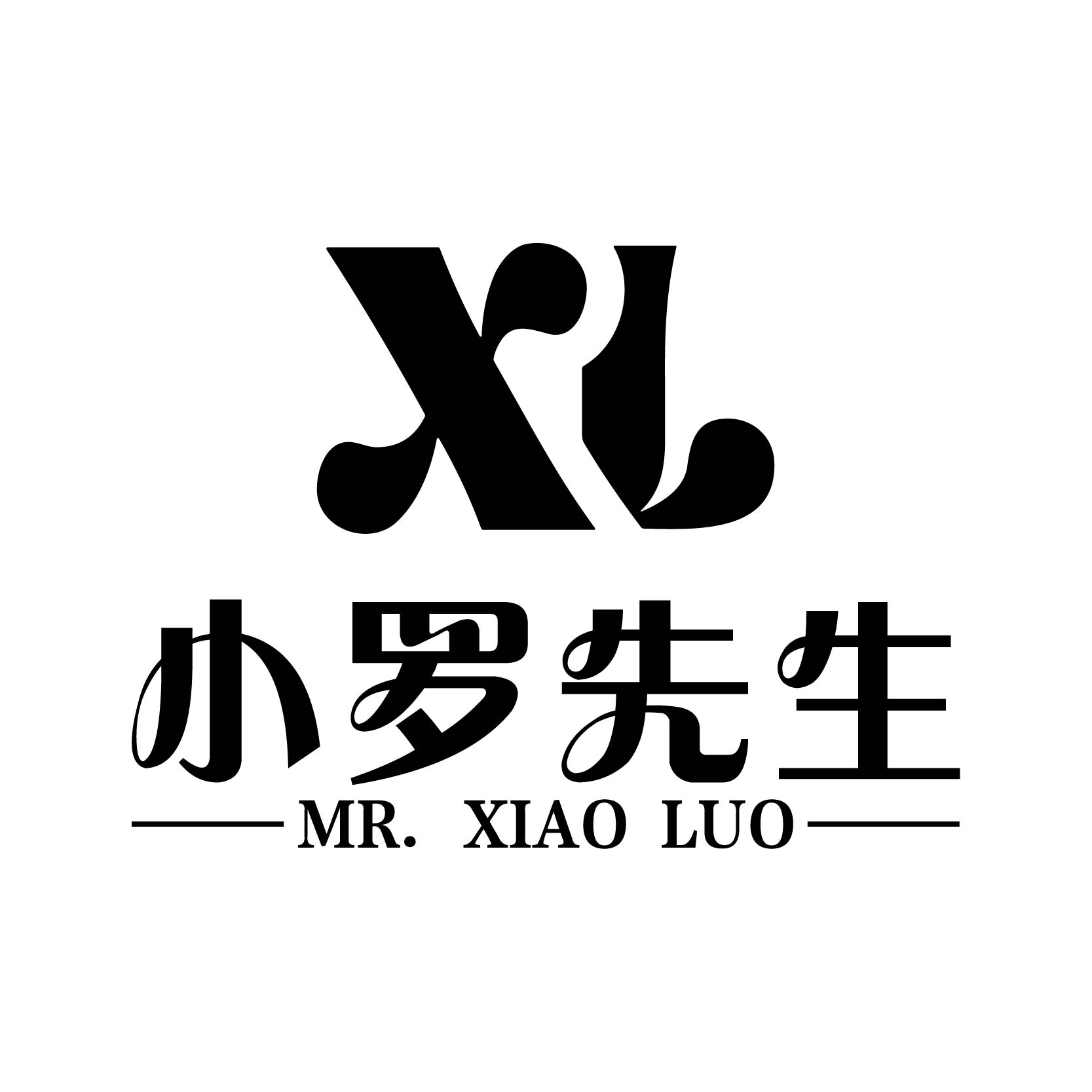 小罗先生