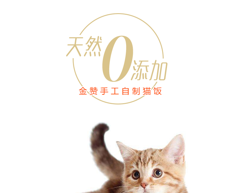 Bữa ăn vàng khen ngợi gấu trúc rau gà tự làm toàn bộ thức ăn cho mèo Cơm mèo ướt thực phẩm tươi tự nhiên không thêm 55 gram - Cat Staples hạt cateye
