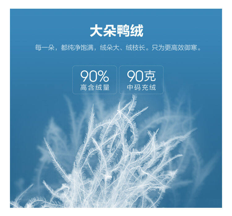 佐丹奴 商场同款 男士双面穿羽绒服 90%含绒量 美国杜邦防水涂层 图3