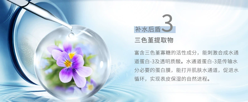 Wen Biquan kem tám ly kem trẻ hóa nước 50 gam nữ giữ ẩm kem giữ ẩm khóa nước dưỡng ẩm sản phẩm chăm sóc da đích thực