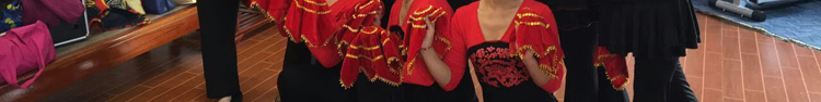 Trang phục khiêu vũ vuông mới Trang phục khiêu vũ Set Latin Dance Áo dài tay áo nhào lộn cổ chữ V - Khiêu vũ / Thể dục nhịp điệu / Thể dục dụng cụ giày nhảy dance