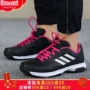 Giày tennis nữ Adidas mùa thu đông 2018 Giày thể thao mới đệm giày mang giày cầu lông BB8081 giày sneaker 