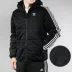 Trang web chính thức của Adidas clover cotton cotton 2019 mùa đông mới áo khoác ấm áp mùa đông quần áo thể thao - Quần áo độn bông thể thao Quần áo độn bông thể thao