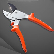 Phi shears pruning shears grape shears Wang Wuquan stainless steel garden shears 2105 branches strong shear