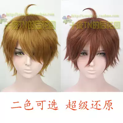 Ten nights tn Green Lotus sword fairy king glory Li Bai COS wig hair do two-color optional