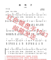 A number of duck improvisation accompanied by a teaching profile.