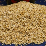 [Пакет из 5 кошек] Золотое льняное семя сырое льняное семя можно выжимать для получения масла, незрелое высокое льняное семя осеннее льняное семя