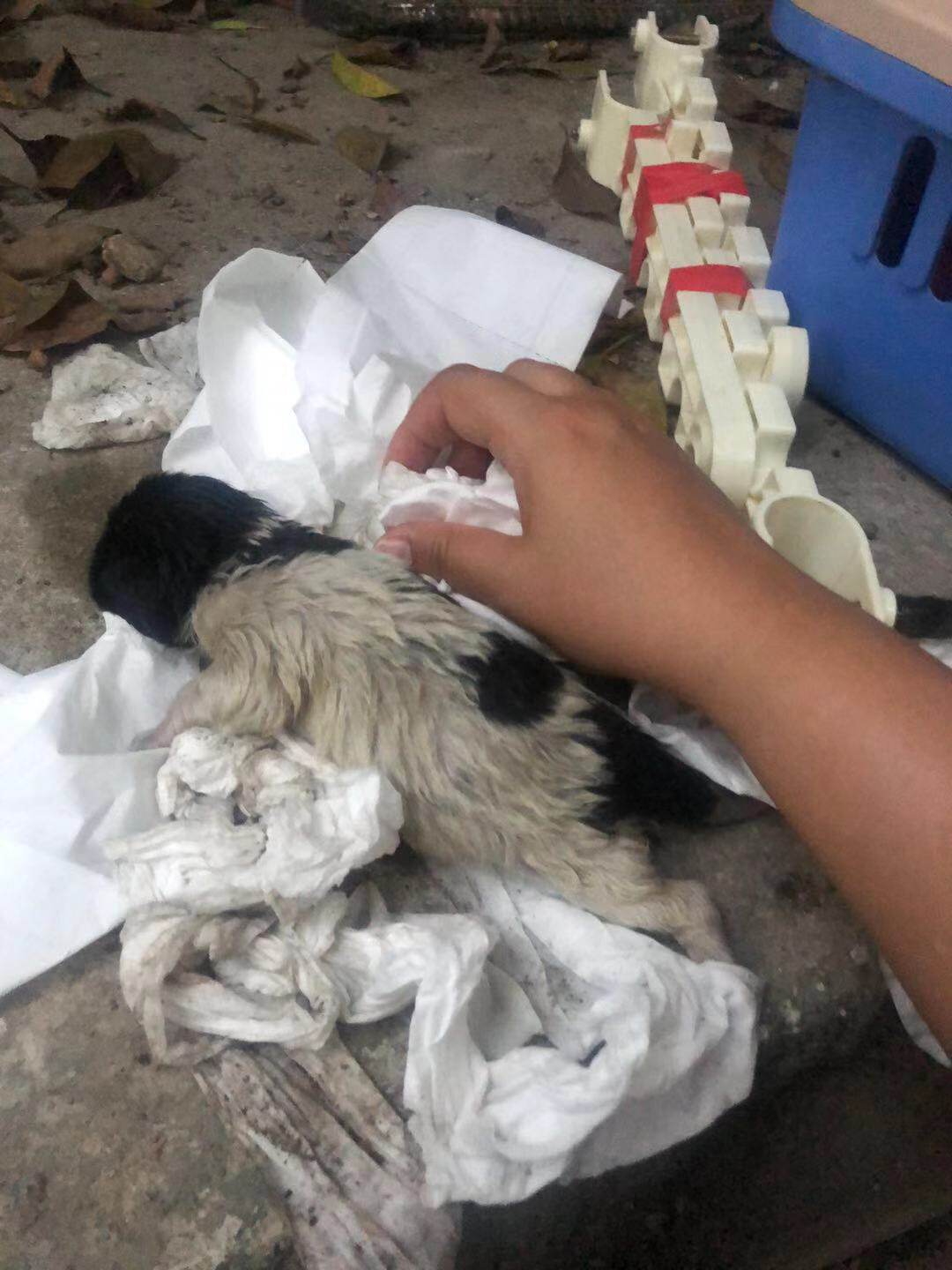 We are not madmen (not for sale, no physical objects)