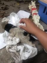 We are not madmen (not for sale no physical objects)