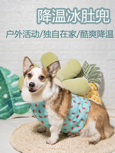 Коротко -летняя собака летнее охлаждение прохладное холодное пальто