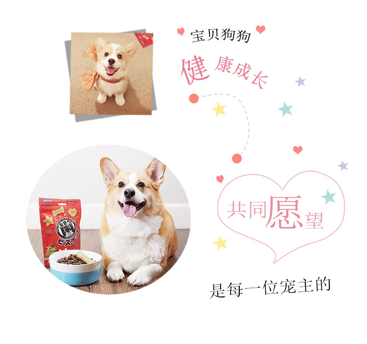 Yu Xiao ăn một thùng lớn bánh quy chó ăn vặt bánh quy thùng bánh quy siêu ngon 690g - Đồ ăn vặt cho chó hạt royal canin