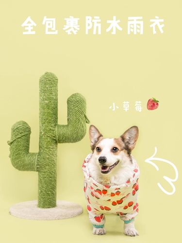 Кратко -капитан/полная упаковка Водонепроницаемое плащ/маленькая клубника милая собака с четырьмя легливыми одежды/выносливость той же модели/corgi