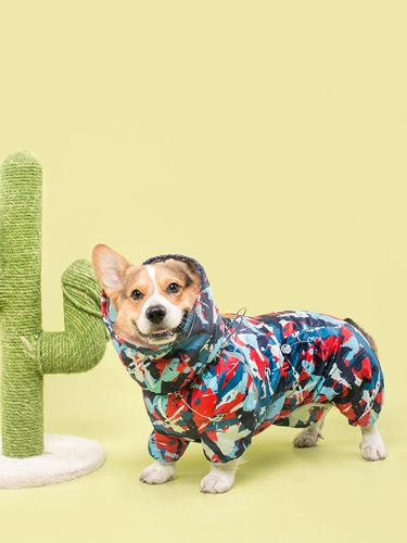 Кратко -капитан/полная упаковка Водонепроницаемое плащ/маленькая клубника милая собака с четырьмя легливыми одежды/выносливость той же модели/corgi