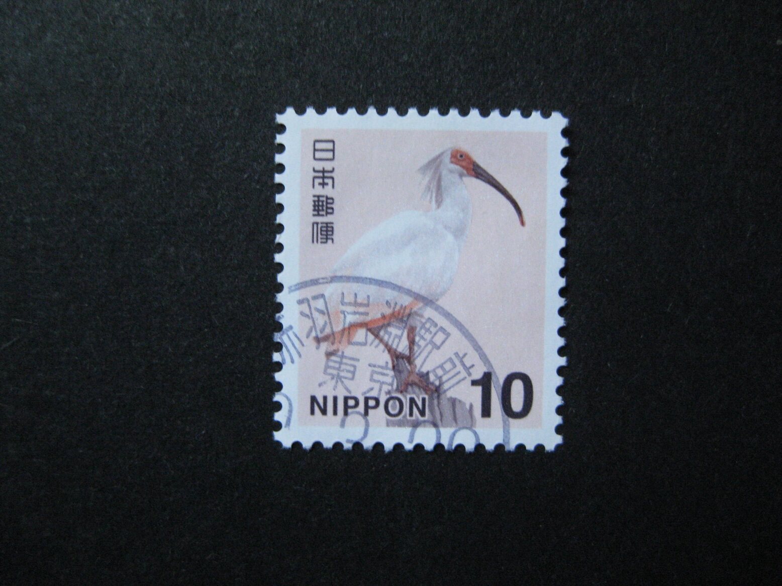 Japanese Credit Bird(Zhu Yu)