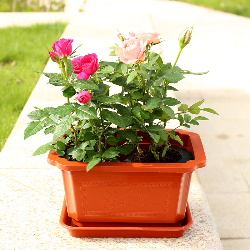 Large caliber square flower pots Quadrilateral flower pots Flowers Basin Rose Basin Square Flower Pots Plastic Extra-large