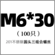 M6*30 (100)