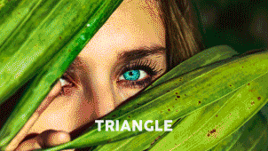 新更新250种视频转场效果特效水墨笔刷故障毛刺推拉模糊-AE模板