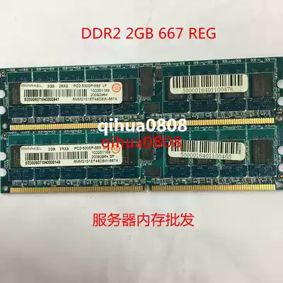 2G 667 REG 5300P Memory Ramaxel DDR2 Lenovo HP Server Memory