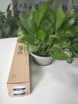 South Korea Q-light can be Wright spot special ST45L-3-DC24V-RAG three-color signal light