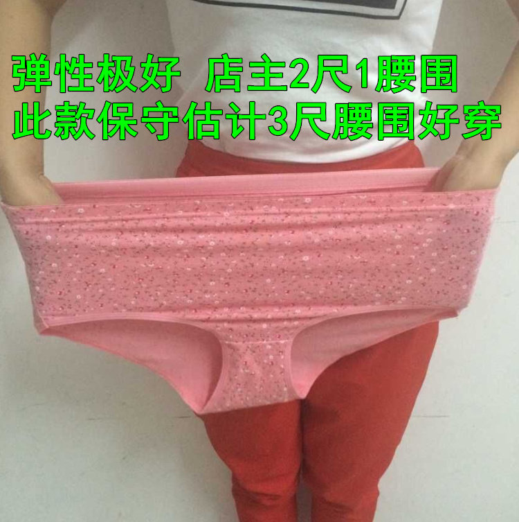 Slip Moyen-âge en coton - Ref 642959 Image 7