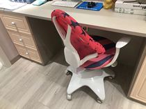 Holike custom bookcase writing chair