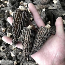 Morchella dry goods wild Yunnan special wild fungus fresh morel mushroom sheep Mushroom 100g non 500g