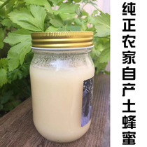 Honey pure natural farmhouse self-produced crystal winter honey wild Hundred Flowers peak honey pregnant women children sugar authentic soil honey