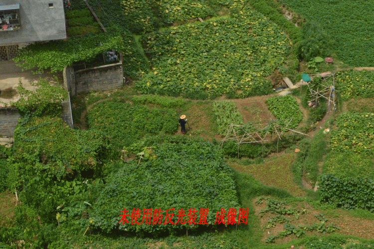 12121.gif