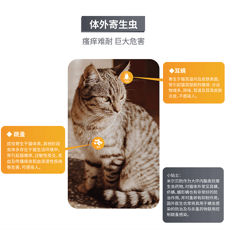 Mèo thiên đường | mèo trưởng thành mèo mèo mèo nội và ngoại hươu mites mites tai ve ve ve 2-8kg đơn - Cat / Dog Health bổ sung 	sữa cho chó có bầu