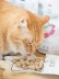Thịt sống đông khô không hạt New Zealand MEOW, cá hồi, thịt gà, thịt bò, cừu, cá tuyết, thức ăn cho mèo 50g / 280g - Cat Staples