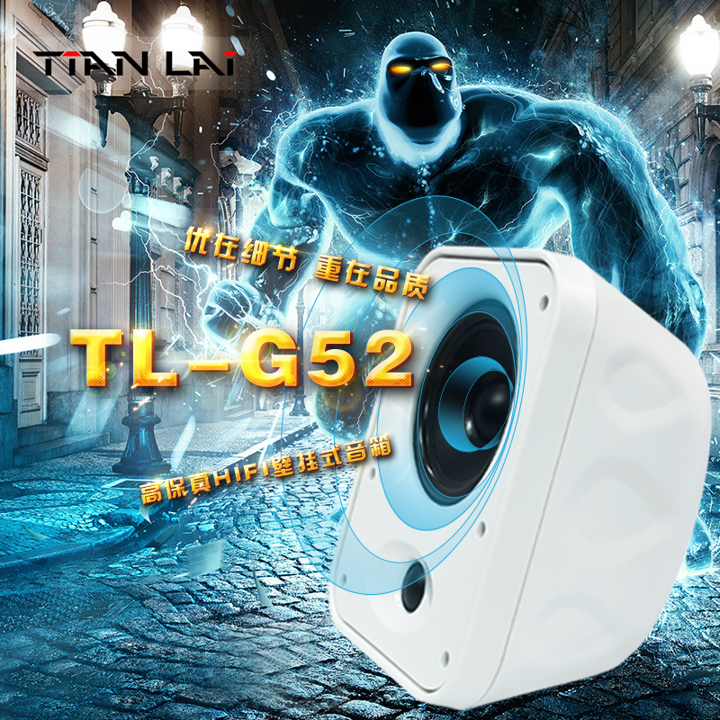 Sky Music TL-G52 Indoor Outdoor Waterproof Fixed Resistance Conference Wall-mounted Sound Shop Dining Room Wall-mounted Horn