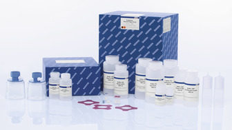 QIAGEN 12391 无内毒素宏量质粒提取试剂盒 EndoFree Plasmid 5T