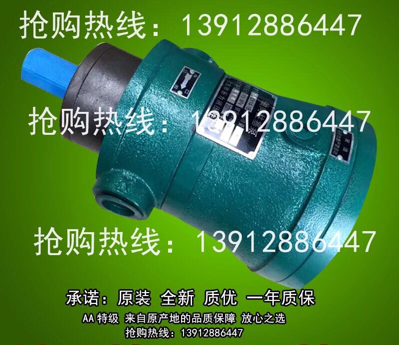 Axial piston pump 63MCY14-1B 80MCY14-1B 100MCY14-1B