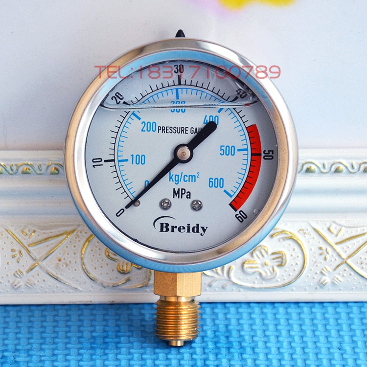 Địa chấn đồng hồ đo áp suất YN60 áp suất nước áp suất không khí áp suất dầu thủy lực đồng hồ đo áp suất YN60 1.6/2.5/10/16/25/40MPa