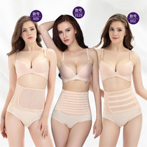 Summer ultra-thin shapelwear lingerie summer ladies plastic belt postpartum cashew with bunches waist and corbelled corbellans