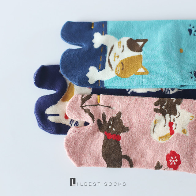 Gift Box Socks Autumn Women's Pure Cotton Personalized Two-Toe Clogs Socks Japanese Style Cute Cat Two-Toe Mid-Tube Socks