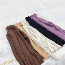 The girl sweater purple 2021 new foreign style little girl top half collar children autumn base shirt