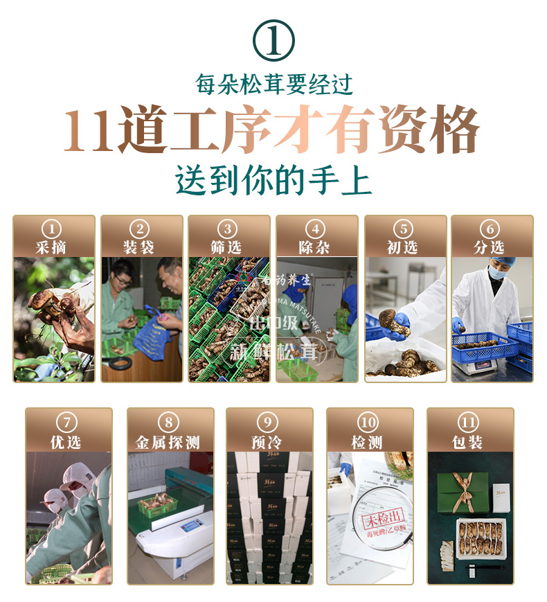 云南白药 出口级 云南野生鲜松茸礼盒 500g 6-8cm 图3