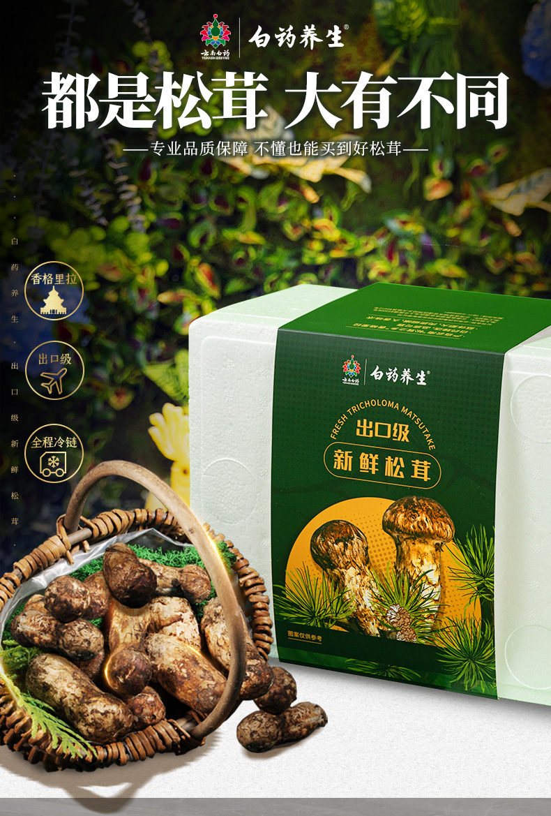 云南白药 云南特产 新鲜松茸菌菇礼盒装（7cm以上）  500g 凑单折后￥220.5顺丰包邮