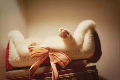 Note that it is a mint toy replacement