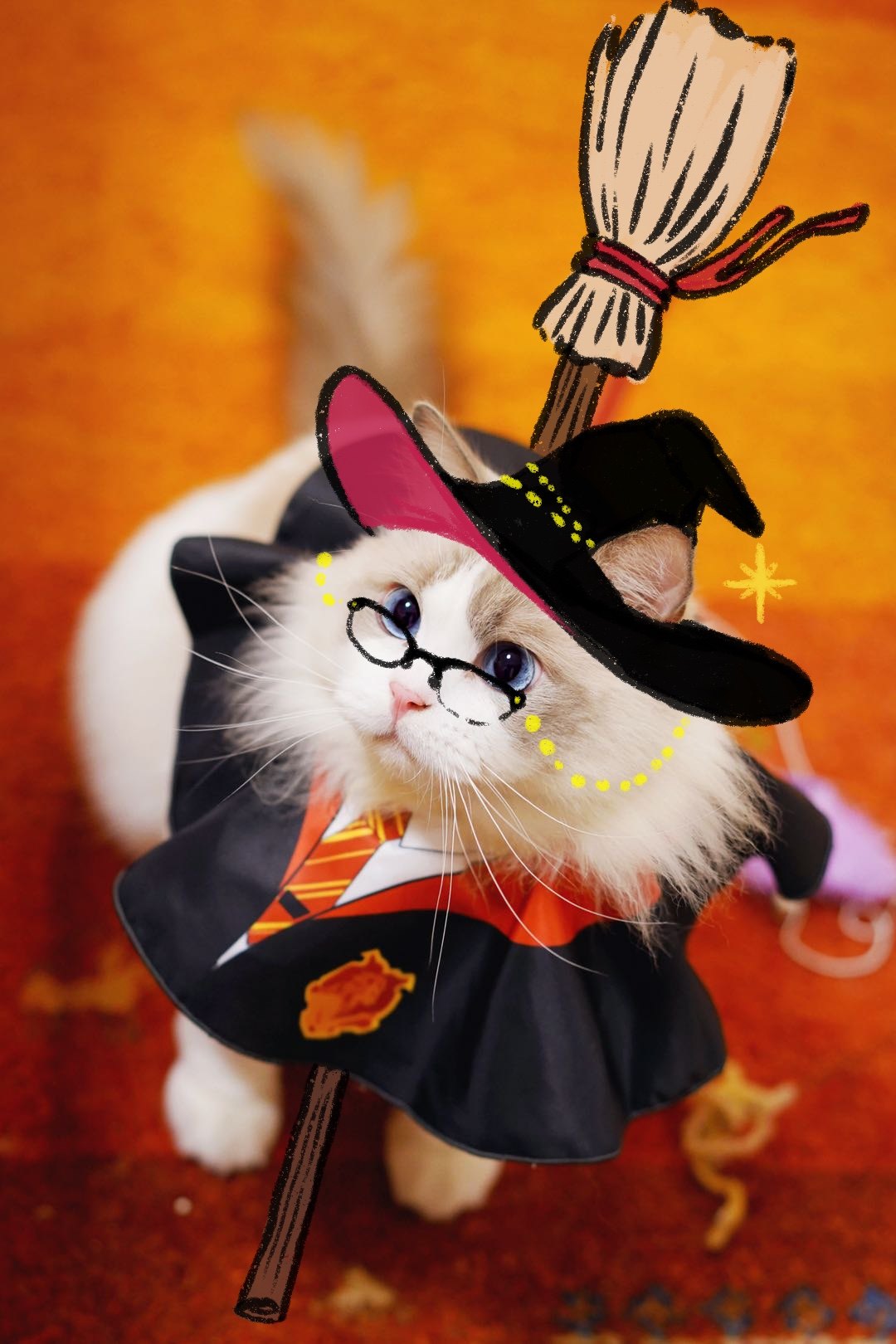 Harry Potter (doesn't back out for 3 days of hair loss)