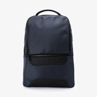 101 (тибетский цин)