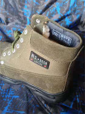 Bottes militaires - Ref 1399854 Image 4