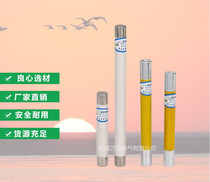 Shuguang fuse RN2-10KV 0 5A transformer PT high voltage fuse tube 185*20 high pressure fuse tube